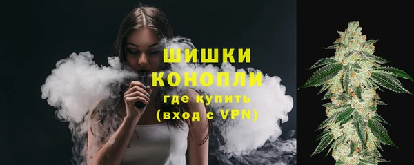гашик Володарск