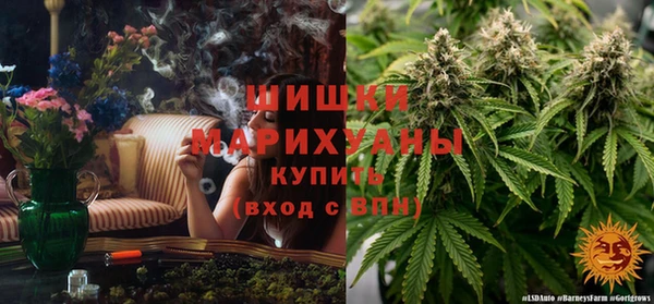 крисы Волоколамск