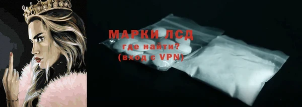 прущие грибы Ступино
