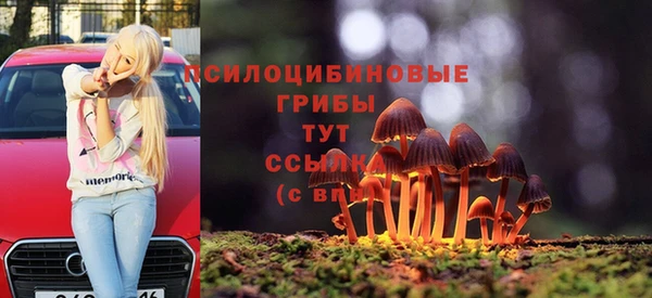 прущие грибы Ступино