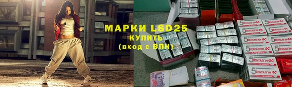 гашик Володарск