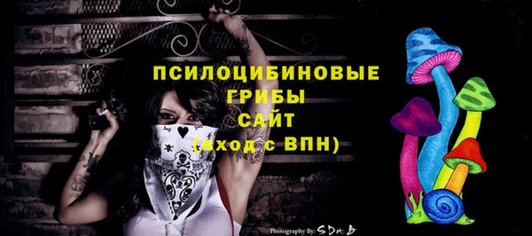 крисы Волоколамск