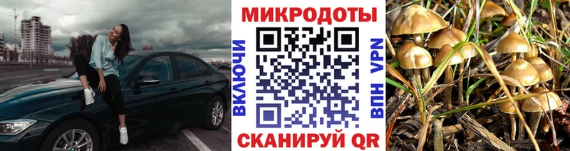 hydra tor  маркетплейс наркотические препараты  Нальчик  Галлюциногенные грибы Psilocybe  где купить наркотик 